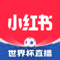 小红书(图层小红薯)